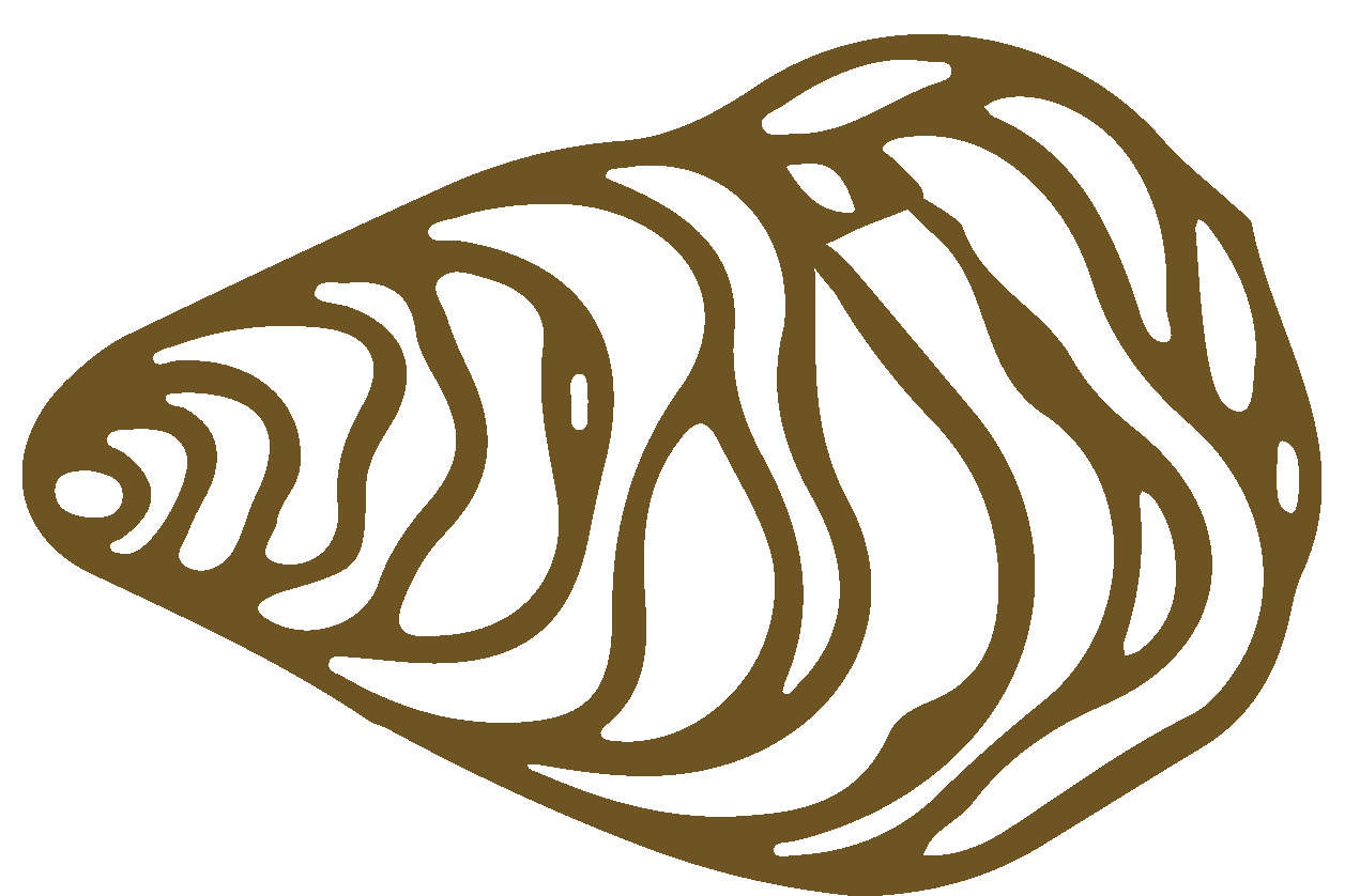MAE' L'OSTRICA